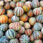 10 PCS Seeds Rare Kajari Sweet Melon Fruit