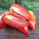 300 PCS Seeds Rare Korean Long Tomato