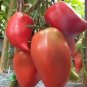 300 PCS Seeds Rare Korean Long Tomato