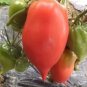 300 PCS Seeds Rare Korean Long Tomato
