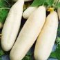 50 PCS Seeds Rare Low Acid White Wonder Cucumber