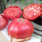 100 PCS Seeds Rare Mexican Silly Tomato Hybrid 100 PCS Seeds Rare Mexican Silly Tomato Hybrid