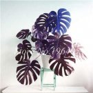 50 PCS Seeds Rare Mixed Monstera Potted Plant Turtle Leaves Perennial Flowers Garden