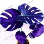 50 PCS Seeds Rare Mixed Monstera Potted Plant Turtle Leaves Perennial Flowers Garden