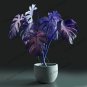50 PCS Seeds Rare Mixed Monstera Potted Plant Turtle Leaves Perennial Flowers Garden