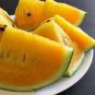 20 PCS Seeds Rare Mixed Purple Yellow Red White Blue Watermelon Fruits