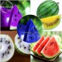 20 PCS Seeds Rare Mixed Purple Yellow Red White Blue Watermelon Fruits