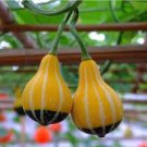 8 PCS Seeds Rare Naughty Boy Black Yellow Pumpkin