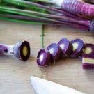 100 PCS Seeds Rare Organic Dark Purple Edible Carrot