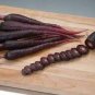 100 PCS Seeds Rare Organic Dark Purple Edible Carrot