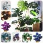 100 PCS Seeds Rare Palm Turtle Leaves Monstera Potted Plant Plants
