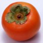 20 PCS Seeds Rare Persimmon Seed Organic Non-GMO Juicy Succulent fruit trees