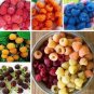 1000 PCS Seeds Rare Raspberry Mixed Color Fruit