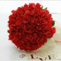 15 PCS Seeds Rare Red Hydrangea Mother