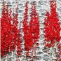 10 PCS Seeds Rare Red Ivy Creeper Leaves Heirloom