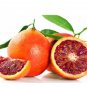 30 PCS Seeds Rare Red Lemon Tree