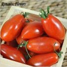 100 PCS Seeds Rare Russian Giant Pertsevidnyy-Pepper Red Long Tomato 100 PCS Seeds Rare Russian Giant Pertsevidnyy-Pepper Red Long Tomato