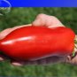 100 PCS Seeds Rare Russian Giant Pertsevidnyy-Pepper Red Long Tomato