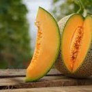 50 PCS Seeds Rare Seeds Golden Honey Melon (Cucumis melo) 50 PCS Seeds Rare Seeds Golden Honey Melon (Cucumis melo)