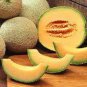 50 PCS Seeds Rare Seeds Golden Honey Melon (Cucumis melo)