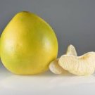 20 PCS Seeds Rare the World Biggest Lemon Fruits