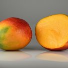 300 PCS Seeds Rare Yellow Fat 'Luo Cheng' Organic