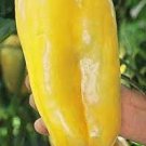100 PCS Seeds Rare Yellow Monster Sweet Pepper