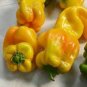 100 PCS Seeds Rare Yellow Monster Sweet Pepper