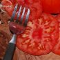 100 PCS Seeds Rare Zapotec Ruffled Bright Red Tomato