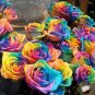 50 PCS Seeds Rarest Bright Rainbow Rose Flower