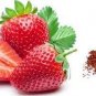 100 PCS Seeds Rarest Heirloom Super Giant Japan Red Strawberry Organic