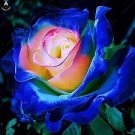 50 PCS Seeds Rarest Several Rose Shrub Seeding Seeds for Garden 50 PCS Seeds Rarest Several Rose Shrub Seeding Seeds for Garden