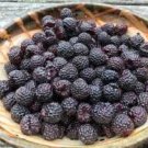 100 PCS Seeds Raspberry Seeds Big Black Mulberry Fruits 100 PCS Seeds Raspberry Seeds Big Black Mulberry Fruits