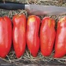 100 PCS Seeds Red Banana Tomatoes
