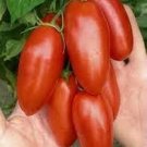 100 PCS Seeds Red Bananas Tomatoes