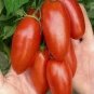 100 PCS Seeds Red Bananas Tomatoes