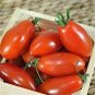 100 PCS Seeds Red Bananas Tomatoes