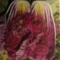 50 PCS Seeds Red Chinese Cabbage