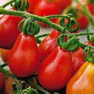 25 PCS Seeds Red 'Pear' Small Tomato 25 PCS Seeds Red 'Pear' Small Tomato
