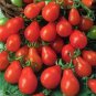 25 PCS Seeds Red 'Pear' Small Tomato
