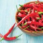 30 PCS Seeds Red Dried Hot Chili Hunan Pepper Organic