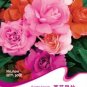 20 PCS Seeds Red Garden Balsam Organic Female Flower