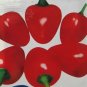 500 PCS Seeds Red Pickled Bubble Hot Chili Peppers