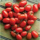20 PCS Seeds Red Roma Cherry Tomato, Edible Organic Fruits