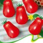 20 PCS Seeds Red Roma Cherry Tomato, Edible Organic Fruits