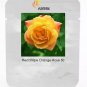 50 PCS Seeds Red Stripe Orange Rose Flower
