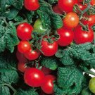 40 PCS Seeds Red Sun Sugar Tasty Cherry Tomato