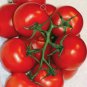 20 PCS Seeds Red Truss Tomato Edible Organic Vegetables