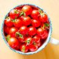 20 PCS Seeds Renrong' Bright Red Cherry Tomato Bonsai