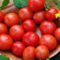 100 PCS Seeds Riesentraube Cherry Tomato
